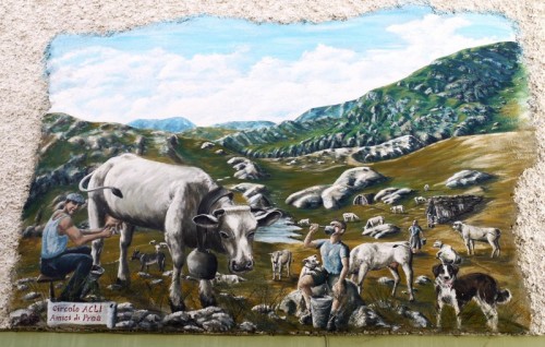Roccaforte Mondovì - Le mucche all'alpeggio.