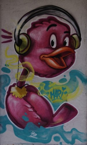 Catania - ...non è il pulcino pio!!!