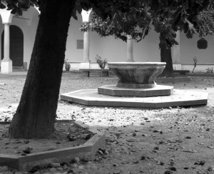 Nel Cortile delle Magnolie