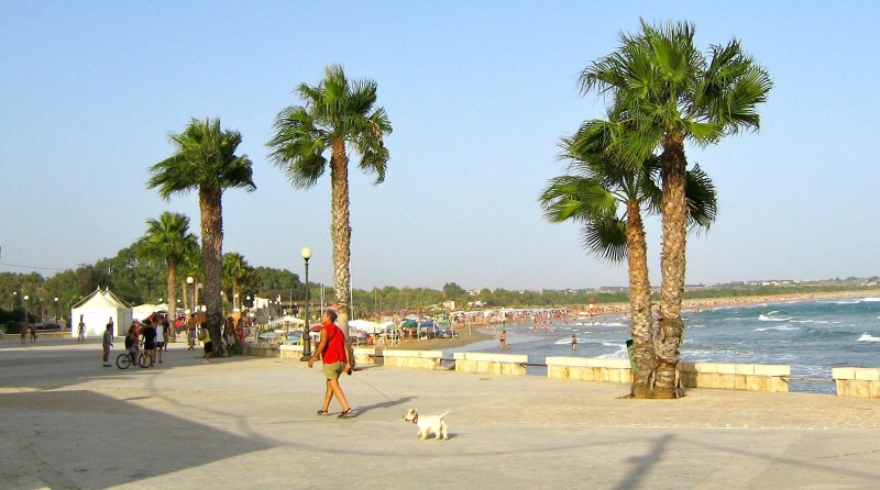 ''a passeggio con il cane'' - Scicli