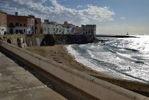 Passeggiando in controluce