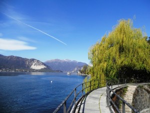 passeggiando nel risveglio primaverile