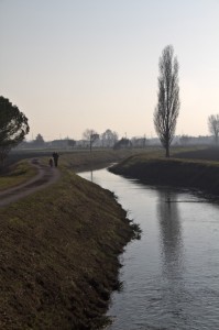 l’albero sulla riva