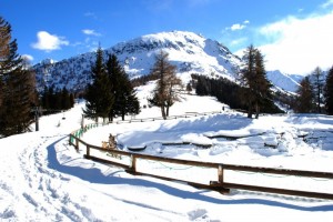 lungo il lago della neve