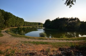 Passeggiando attorno all’ansa