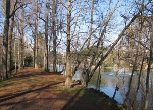 Lato sud: passeggiata nel boschetto