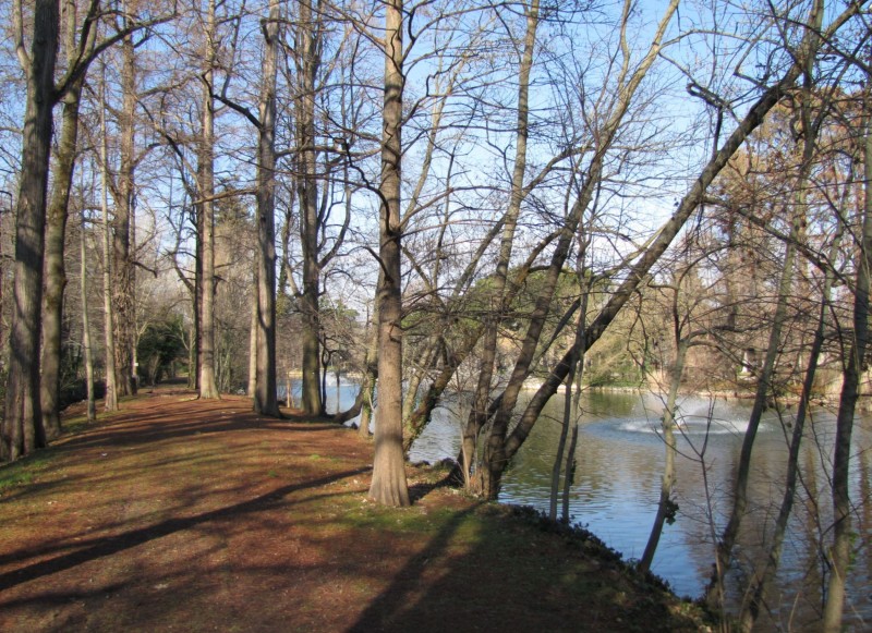 ''Lato sud: passeggiata nel boschetto'' - Bologna