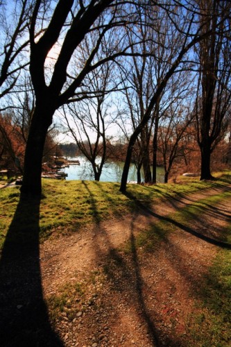 Formigara - Una strada nel bosco Formigara - Una strada nel bosco