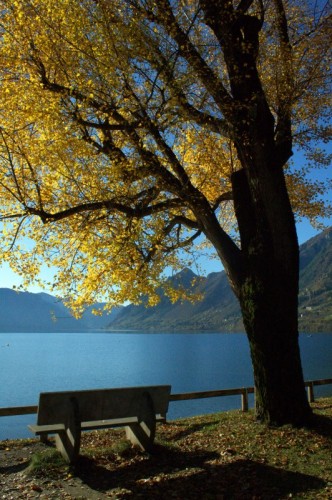 Bagolino - Un angolo di Paradiso Bagolino - Un angolo di Paradiso