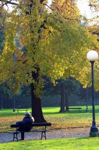 Autunno nel parco