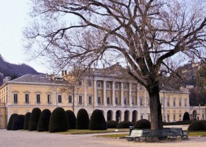 Girotondo intorno all’olmo