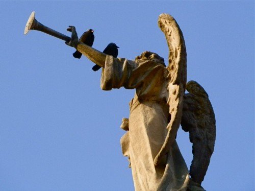 Monastero Bormida - Se siamo insieme anche la musica degli angeli è più celestiale Monastero Bormida - Se siamo insieme anche la musica degli angeli è più celestiale