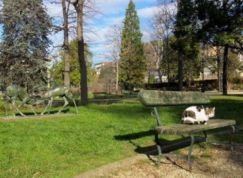 Firenze - Panca al sole  per gatto pigro.