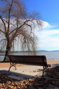 All’ombra di un’albero.