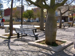 Floridiani in Australia