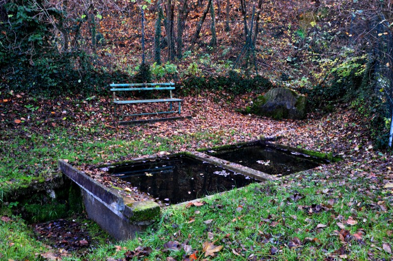 ''autunno sul Collalto'' - Susegana