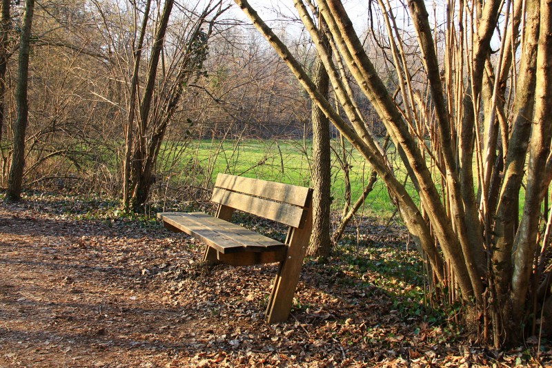 ''Primo sole'' - San Zenone degli Ezzelini