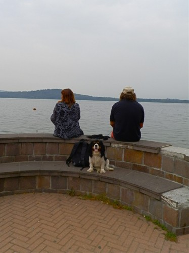 Viverone - "La panchina è questa qua" Viverone - "La panchina è questa qua"