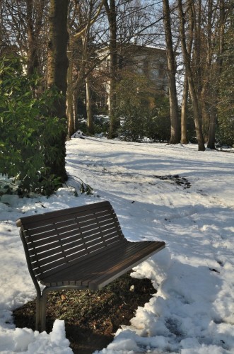 Arcore - C'è una casa nel bosco