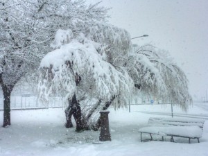 Sotto la tormenta di neve