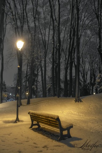 Cernusco sul Naviglio - Solitudine