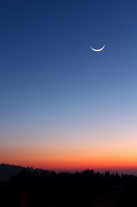 La luna a barchetta 2012