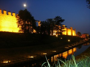 Spunta la luna tra i merli