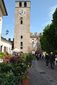 Borgo in Fiore