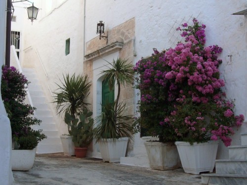 Ostuni - Angolo fiorito