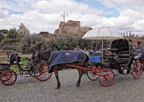 Roma - Una carrozzella con ombrellone