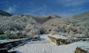 Volare con la fantasia