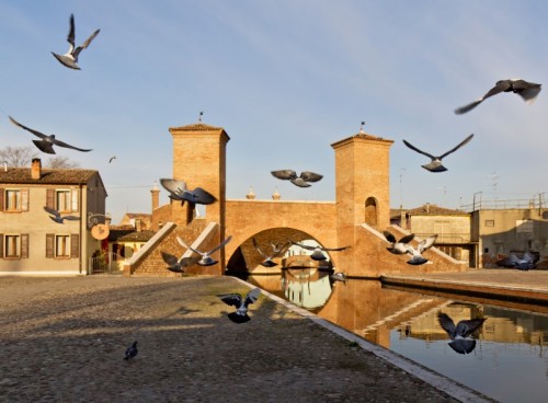 Comacchio - Battiti d'ali Comacchio - Battiti d'ali