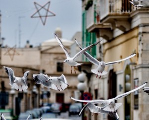 In volo verso le stelle