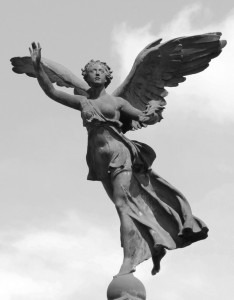 Spiccare il volo verso nuovi cieli