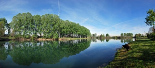 Carignano - "Silenzio" Carignano - "Silenzio"