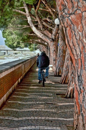 Albenga - pista ciclabile personalizzata