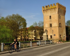 Ciclista in posa