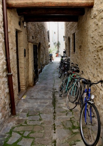 Assisi - Biciclette Solitarie Assisi - Biciclette Solitarie