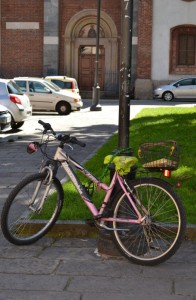 La bicicletta rosa