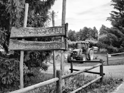 Gallarate - Fattoria Gallarate - Fattoria