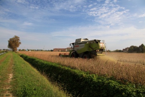 Vescovato - Mietitrebbia Vescovato - Mietitrebbia
