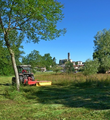 Uggiate-Trevano - Località "Vallette"