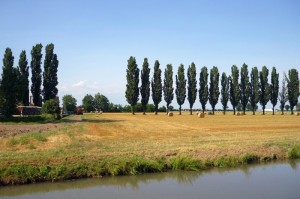 sistemazione delle balle di fieno