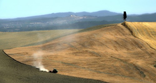 Asciano - Oro e polvere