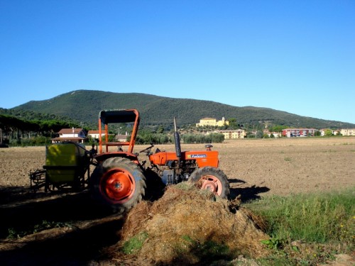 Grosseto - Sosta Grosseto - Sosta