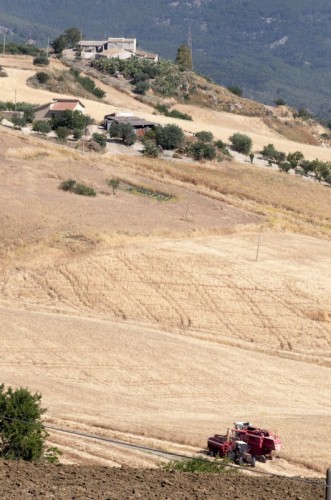 San Cataldo - Comunello San Cataldo - Comunello