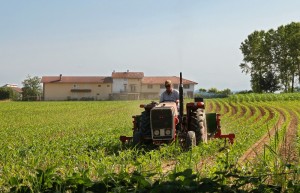 Si sente osservato…