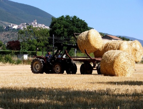 Trevi - I biondi rotoloni..... Trevi - I biondi rotoloni.....
