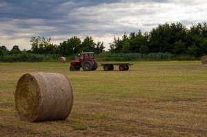 Massey Ferguson 285