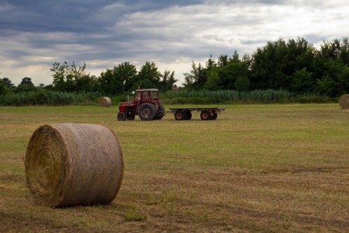 Canda - Massey Ferguson 285